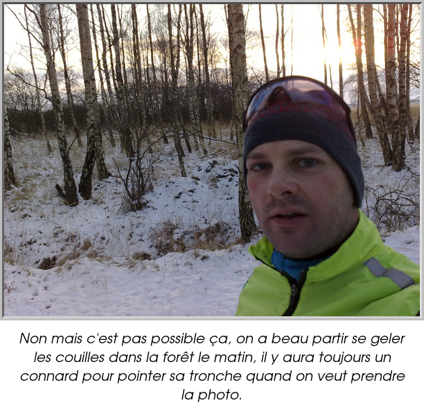 Non mais c'est pas possible ça, on a beau partir se geler les couilles dans la forêt le matin, il y aura toujours un connard pour pointer sa tronche quand on veut prendre la photo.