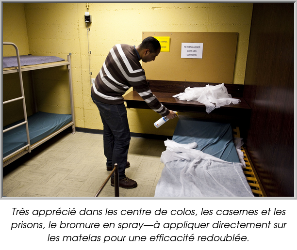 Très apprécié dans les centre de colos, les casernes et les prisons, le bromure en spray—à appliquer directement sur les matelas pour une efficacité redoublée.