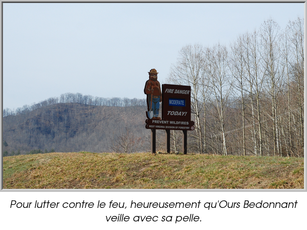 Pour lutter contre le feu, heureusement qu'Ours Bedonnant veille avec sa pelle.