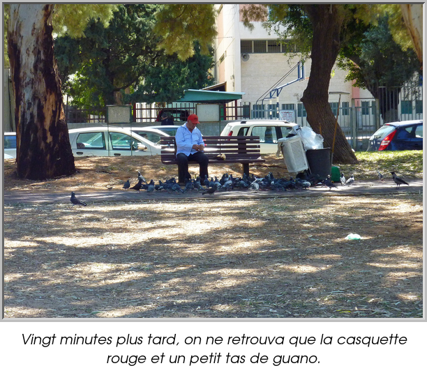 Vingt minutes plus tard, on ne retrouva que la casquette rouge et un petit tas de guano.