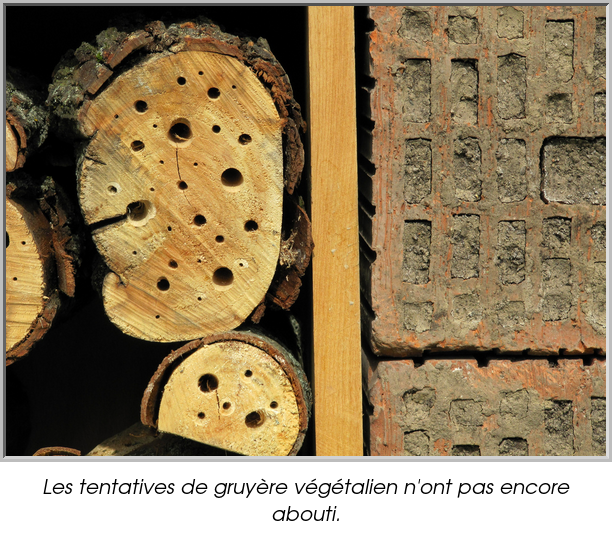 Les tentatives de gruyère végétalien n'ont pas encore abouti.