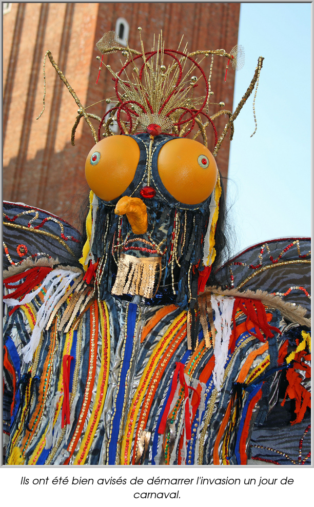 Ils ont été bien avisés de démarrer l'invasion un jour de carnaval.