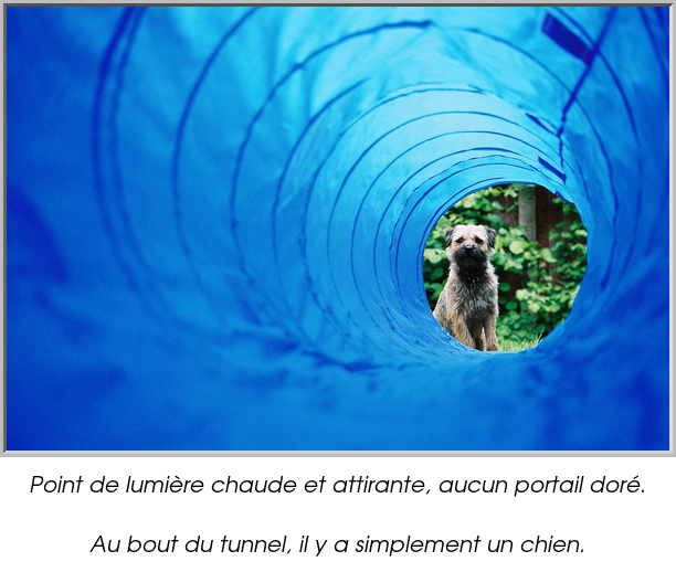 Point de lumière chaude et attirante, aucun portail doré.

Au bout du tunnel, il y a simplement un chien.