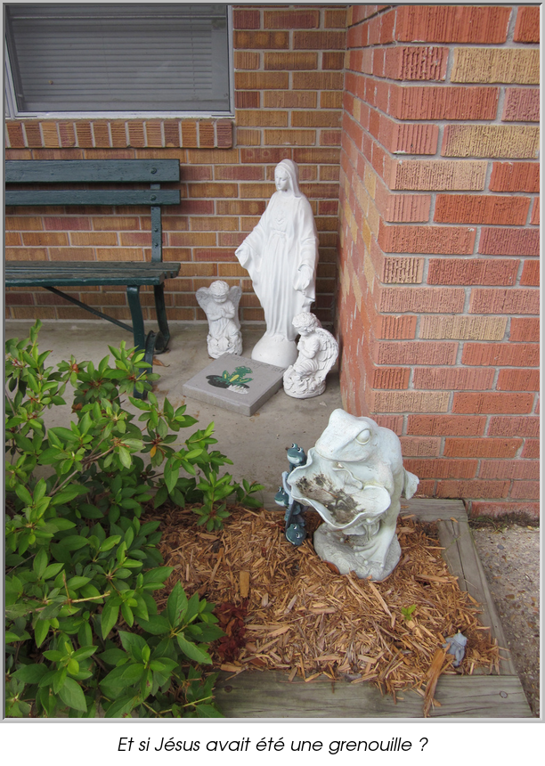 Et si Jésus avait été une grenouille ?