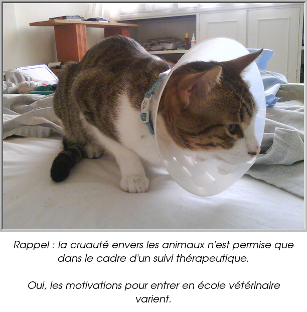 Rappel : la cruauté envers les animaux n'est permise que dans le cadre d'un suivi thérapeutique.

Oui, les motivations pour entrer en école vétérinaire varient.