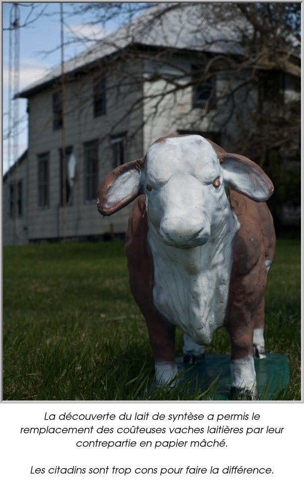 La découverte du lait de syntèse a permis le remplacement des coûteuses vaches laitières par leur contrepartie en papier mâché.

Les citadins sont trop cons pour faire la différence.