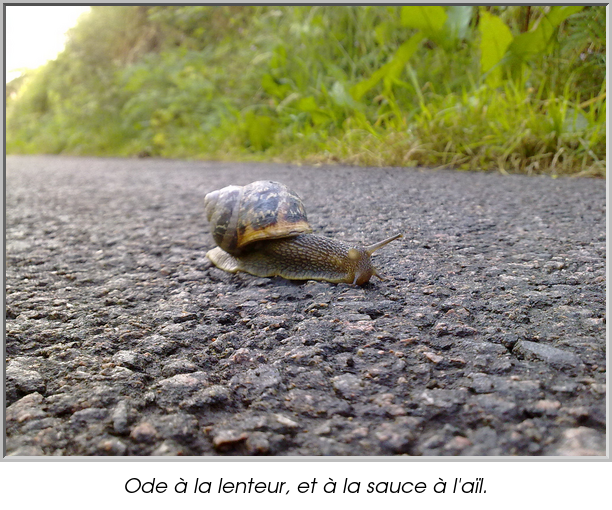 Ode à la lenteur, et à la sauce à l'aïl.