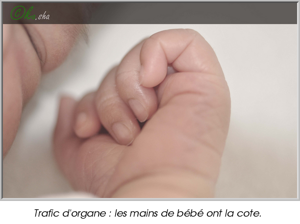 Trafic d'organe : les mains de bébé ont la cote.