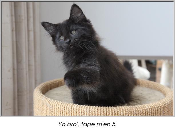 Yo bro', tape m'en 5.