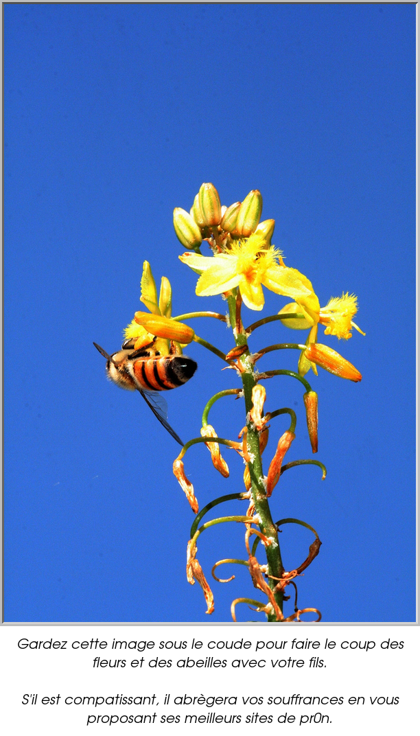 Gardez cette image sous le coude pour faire le coup des fleurs et des abeilles avec votre fils.

S'il est compatissant, il abrègera vos souffrances en vous proposant ses meilleurs sites de pr0n.