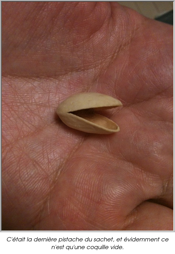 C'était la dernière pistache du sachet, et évidemment ce n'est qu'une coquille vide.