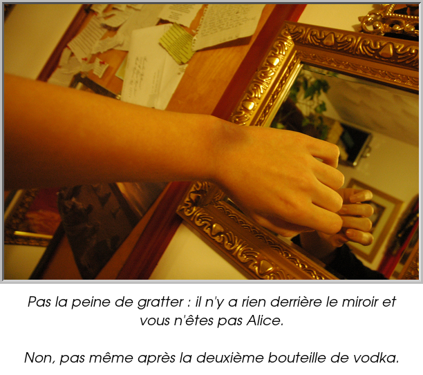 Pas la peine de gratter : il n'y a rien derrière le miroir et vous n'êtes pas Alice.

Non, pas même après la deuxième bouteille de vodka.