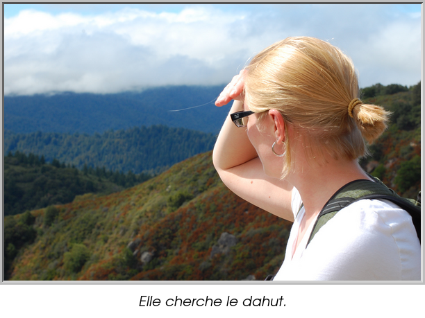 Elle cherche le dahut.