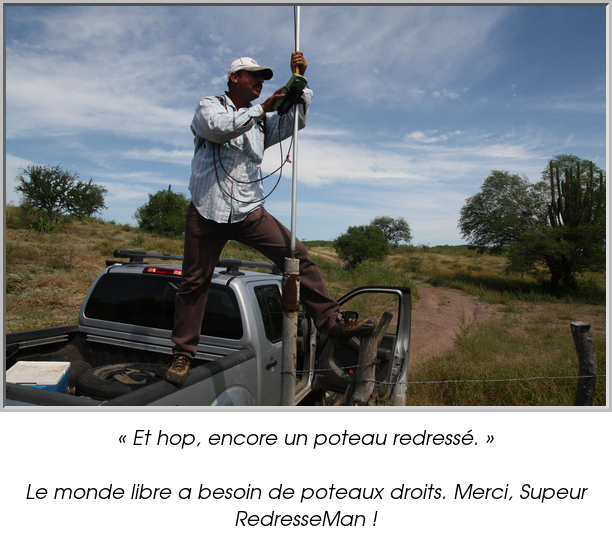 « Et hop, encore un poteau redressé. »

Le monde libre a besoin de poteaux droits. Merci, Supeur RedresseMan !