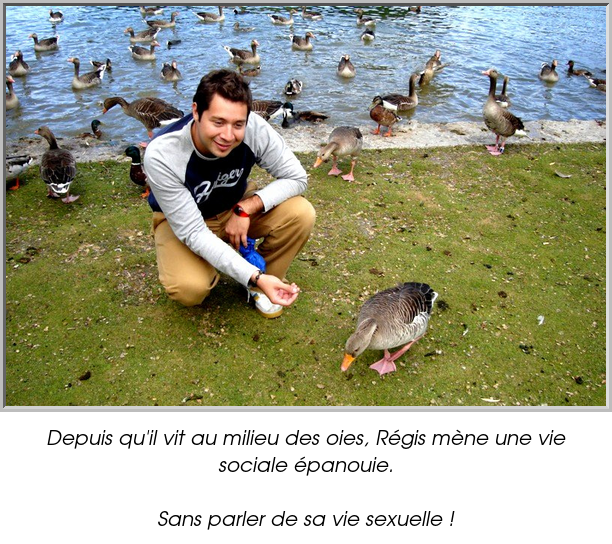 Depuis qu'il vit au milieu des oies, Régis mène une vie sociale épanouie.

Sans parler de sa vie sexuelle !