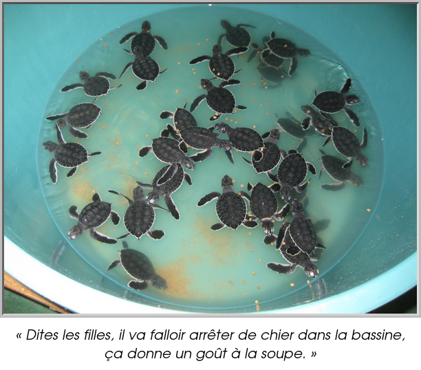 « Dites les filles, il va falloir arrêter de chier dans la bassine, ça donne un goût à la soupe. »