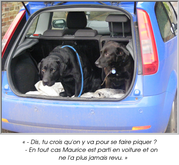 « - Dis, tu crois qu'on y va pour se faire piquer ?
  - En tout cas Maurice est parti en voiture et on
    ne l'a plus jamais revu. »