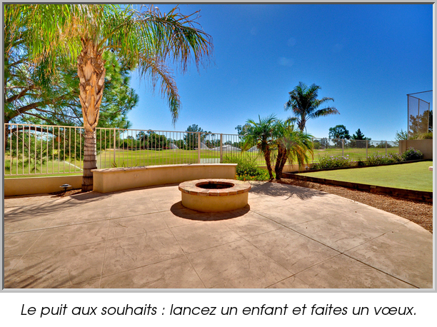 Le puit aux souhaits : lancez un enfant et faites un vœux.