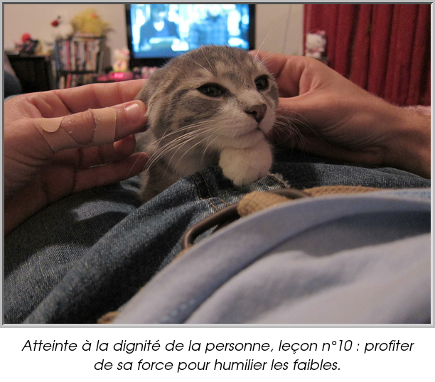 Atteinte à la dignité de la personne, leçon n°10 : profiter de sa force pour humilier les faibles.