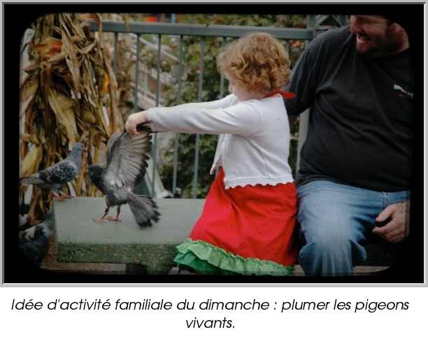 Idée d'activité familiale du dimanche : plumer les pigeons vivants.
