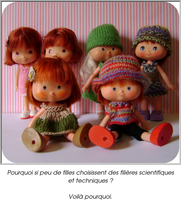 Pourquoi si peu de filles choisissent des filières scientifiques et techniques ?

Voilà pourquoi.