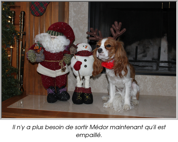 Il n'y a plus besoin de sortir Médor maintenant qu'il est empaillé.
