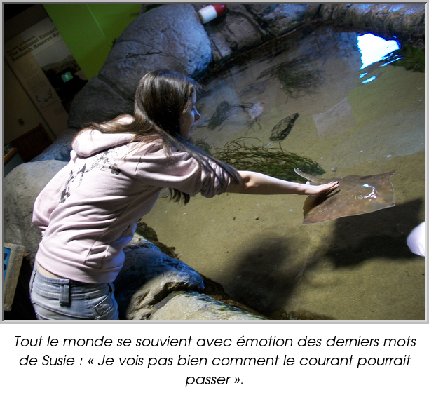 Tout le monde se souvient avec émotion des derniers mots de Susie : « Je vois pas bien comment le courant pourrait passer ».