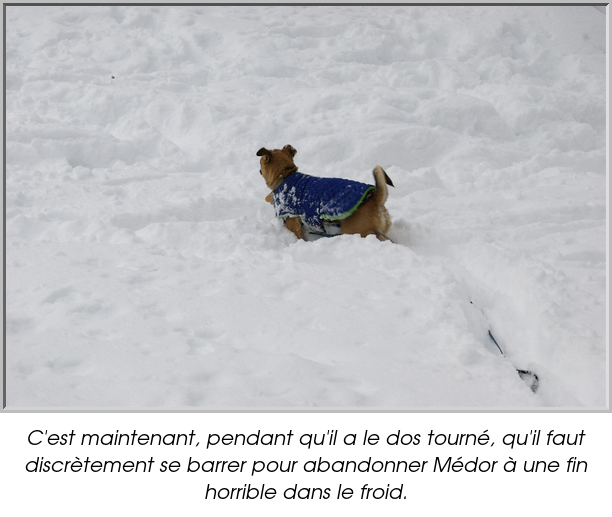 C'est maintenant, pendant qu'il a le dos tourné, qu'il faut discrètement se barrer pour abandonner Médor à une fin horrible dans le froid.