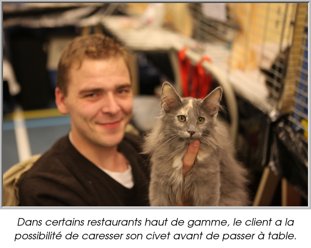 Dans certains restaurants haut de gamme, le client a la possibilité de caresser son civet avant de passer à table.