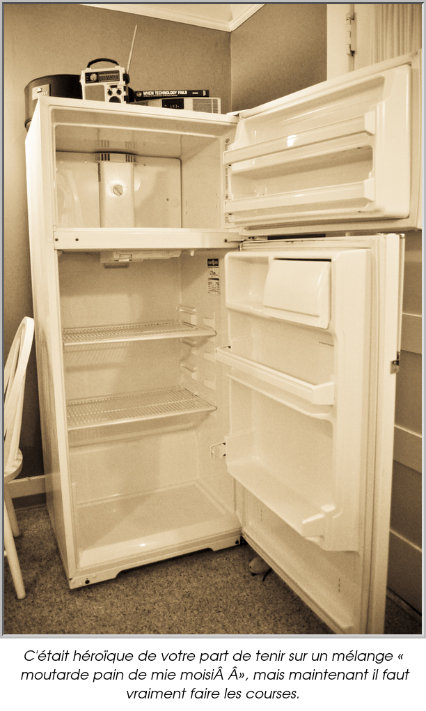 C'était héroïque de votre part de tenir sur un mélange « moutarde pain de mie moisi », mais maintenant il faut vraiment faire les courses.
