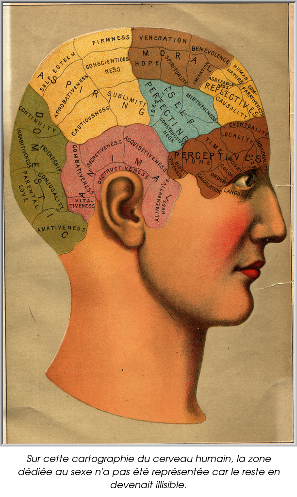 Sur cette cartographie du cerveau humain, la zone dédiée au sexe n'a pas été représentée car le reste en devenait illisible.