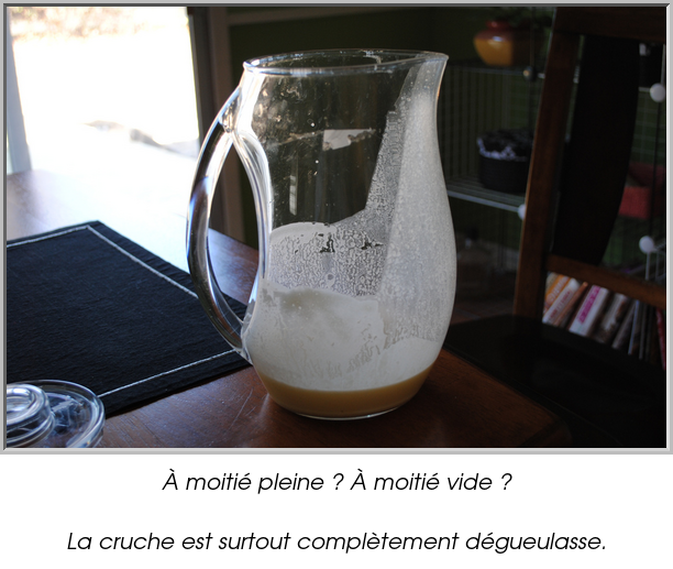 À moitié pleine ? À moitié vide ?

La cruche est surtout complètement dégueulasse.