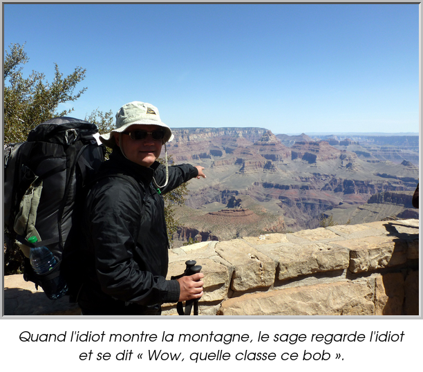 Quand l'idiot montre la montagne, le sage regarde l'idiot et se dit « Wow, quelle classe ce bob ».