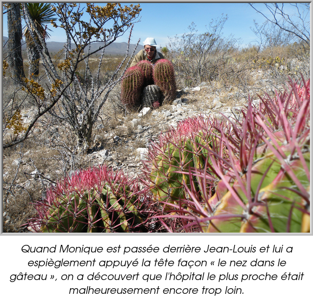 Quand Monique est passée derrière Jean-Louis et lui a espièglement appuyé la tête façon « le nez dans le gâteau », on a découvert que l'hôpital le plus proche était malheureusement encore trop loin.
