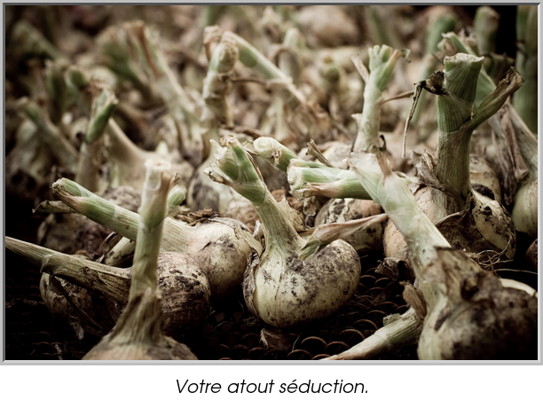 Votre atout séduction.