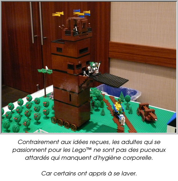Contrairement aux idées reçues, les adultes qui se passionnent pour les Lego™ ne sont pas des puceaux attardés qui manquent d'hygiène corporelle.

Car certains ont appris à se laver.