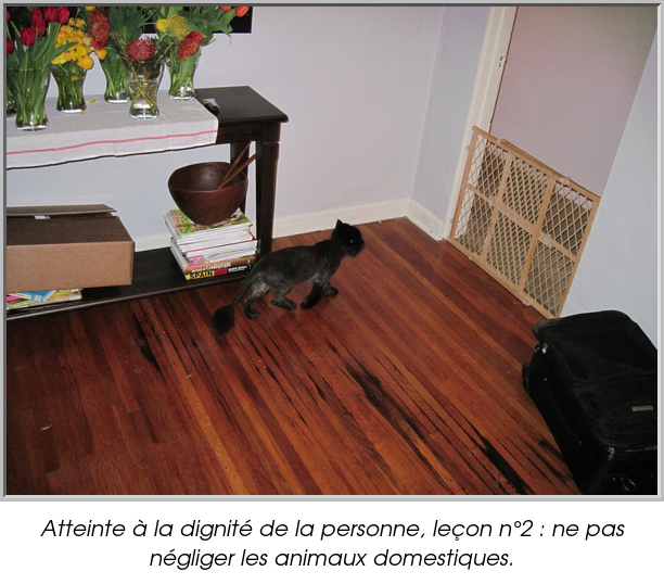 Atteinte à la dignité de la personne, leçon n°2 : ne pas négliger les animaux domestiques.