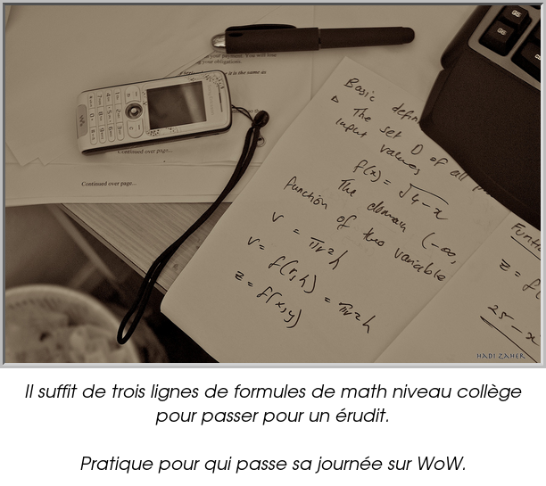 Il suffit de trois lignes de formules de math niveau collège pour passer pour un érudit.

Pratique pour qui passe sa journée sur WoW.