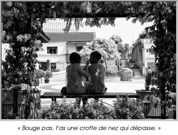 « Bouge pas, t'as une crotte de nez qui dépasse. »