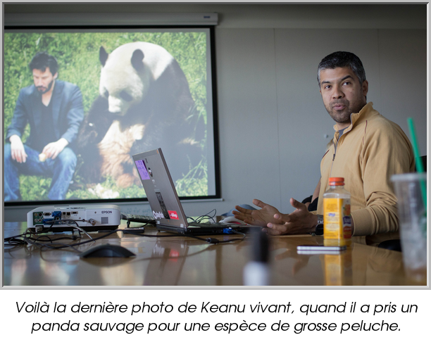 Voilà la dernière photo de Keanu vivant, quand il a pris un panda sauvage pour une espèce de grosse peluche.