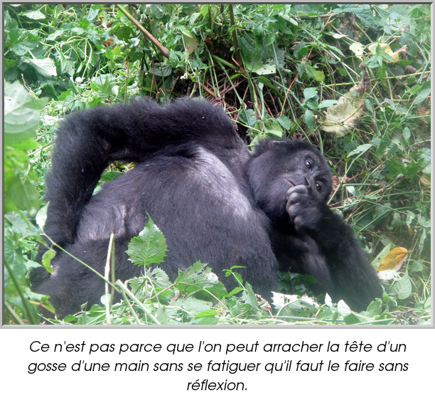 Ce n'est pas parce que l'on peut arracher la tête d'un gosse d'une main sans se fatiguer qu'il faut le faire sans réflexion.
