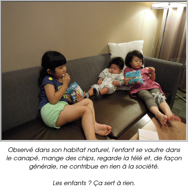 Observé dans son habitat naturel, l'enfant se vautre dans le canapé, mange des chips, regarde la télé et, de façon générale, ne contribue en rien à la société.

Les enfants ? Ça sert à rien.