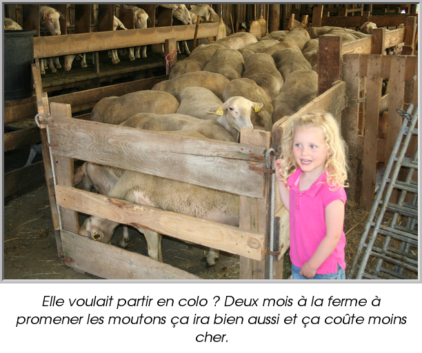 Elle voulait partir en colo ? Deux mois à la ferme à promener les moutons ça ira bien aussi et ça coûte moins cher.