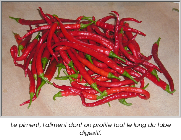 Le piment, l'aliment dont on profite tout le long du tube digestif.