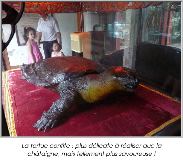 La tortue confite : plus délicate à réaliser que la châtaigne, mais tellement plus savoureuse !